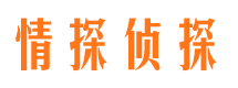 金东侦探公司